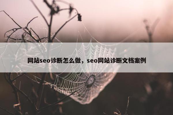 网站seo诊断怎么做，seo网站诊断文档案例
