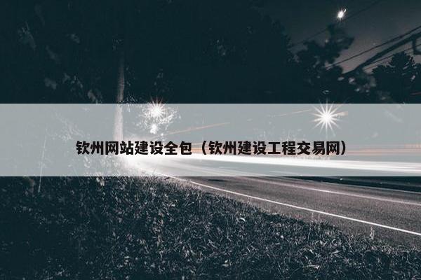 钦州网站建设全包（钦州建设工程交易网）