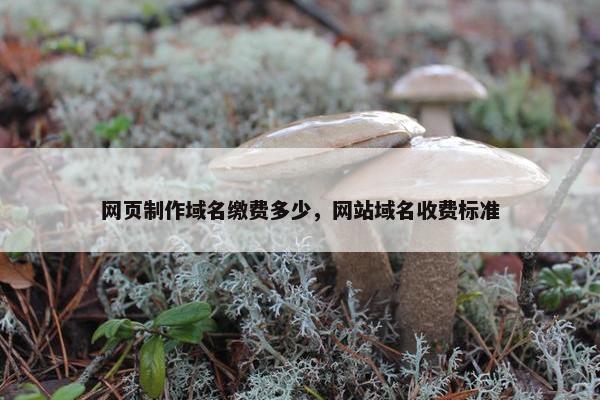 网页制作域名缴费多少，网站域名收费标准