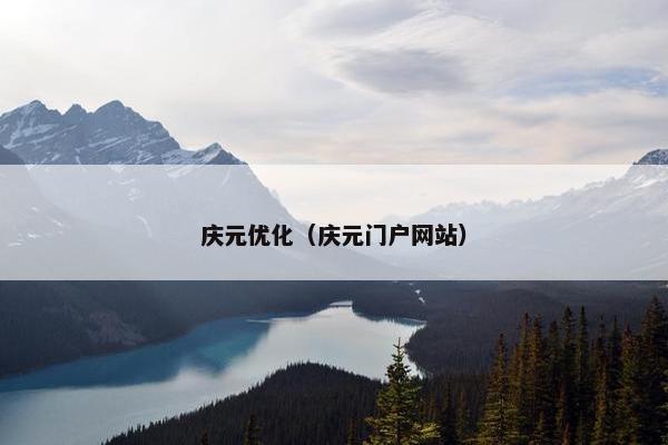 庆元优化（庆元门户网站）
