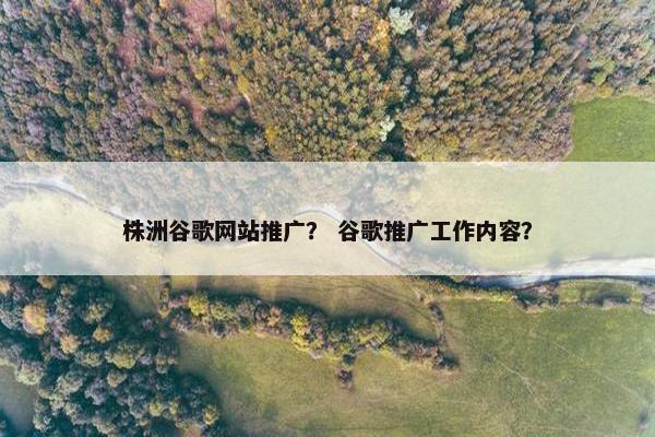 株洲谷歌网站推广？ 谷歌推广工作内容？