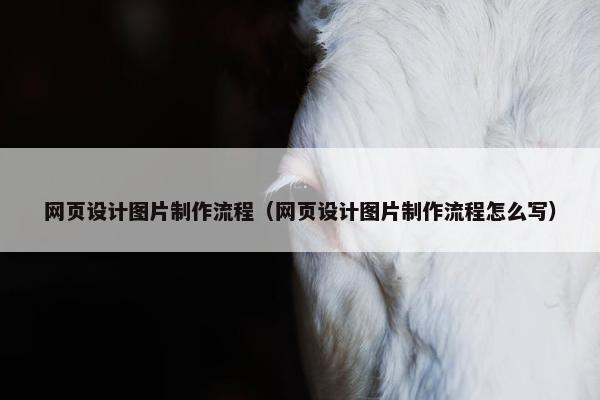 网页设计图片制作流程（网页设计图片制作流程怎么写）