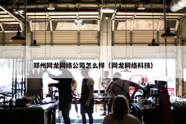 郑州网龙网络公司怎么样（网龙网络科技）