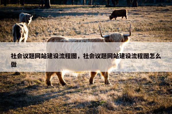 社会议题网站建设流程图，社会议题网站建设流程图怎么做