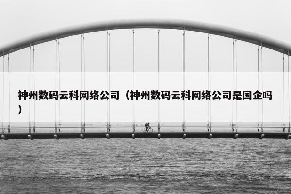 神州数码云科网络公司（神州数码云科网络公司是国企吗）