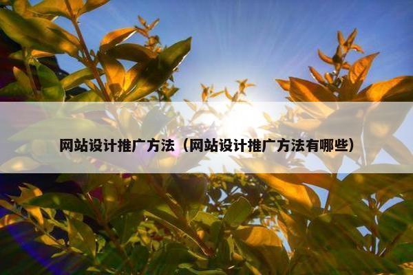 网站设计推广方法（网站设计推广方法有哪些）