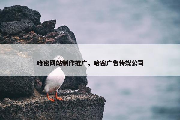哈密网站制作推广，哈密广告传媒公司