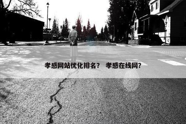 孝感网站优化排名？ 孝感在线网？