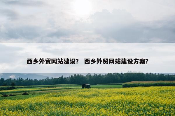 西乡外贸网站建设？ 西乡外贸网站建设方案？