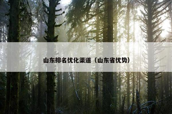 山东排名优化渠道（山东省优势）