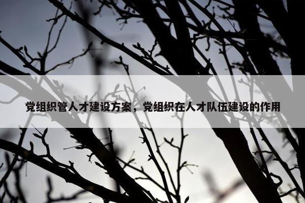 党组织管人才建设方案，党组织在人才队伍建设的作用