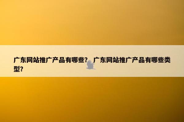广东网站推广产品有哪些？ 广东网站推广产品有哪些类型？