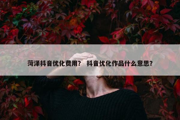 菏泽抖音优化费用？ 抖音优化作品什么意思？
