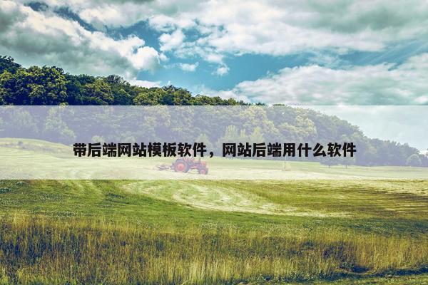带后端网站模板软件，网站后端用什么软件