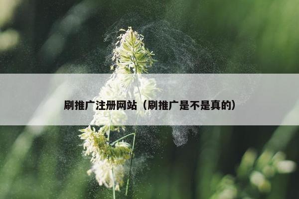 刷推广注册网站（刷推广是不是真的）