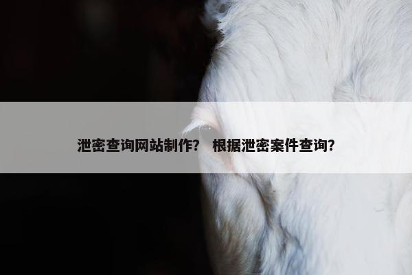 泄密查询网站制作？ 根据泄密案件查询？