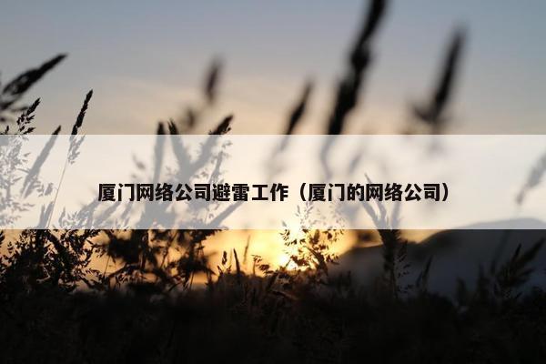 厦门网络公司避雷工作（厦门的网络公司）