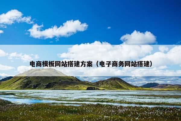 电商模板网站搭建方案（电子商务网站搭建）