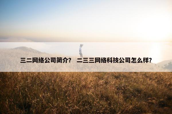 三二网络公司简介？ 二三三网络科技公司怎么样？