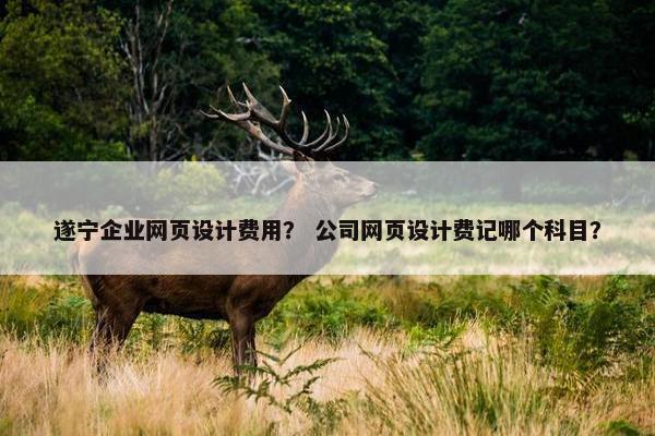 遂宁企业网页设计费用？ 公司网页设计费记哪个科目？