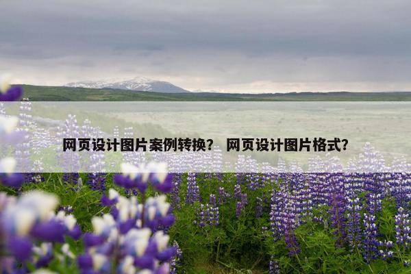 网页设计图片案例转换？ 网页设计图片格式？