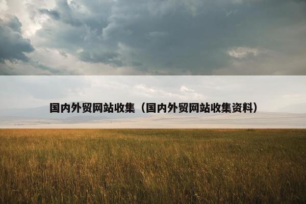 国内外贸网站收集（国内外贸网站收集资料）