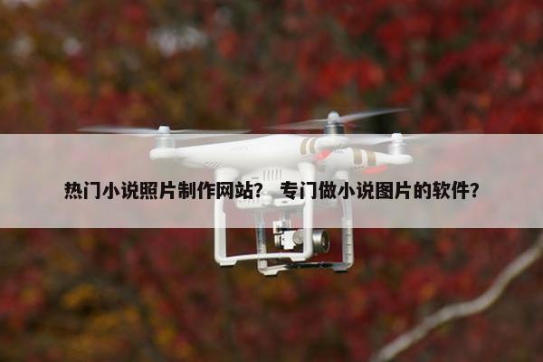 热门小说照片制作网站？ 专门做小说图片的软件？