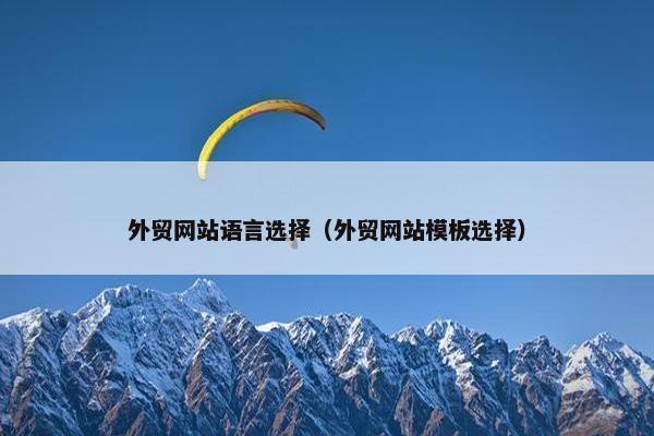 外贸网站语言选择（外贸网站模板选择）