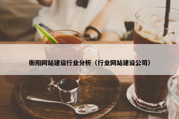 衡阳网站建设行业分析（行业网站建设公司）