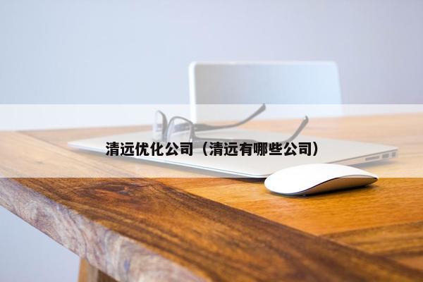 清远优化公司（清远有哪些公司）