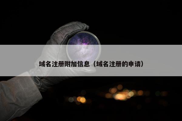 域名注册附加信息（域名注册的申请）