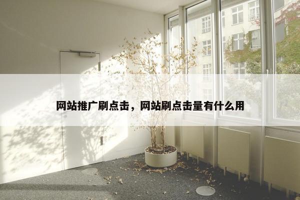 网站推广刷点击，网站刷点击量有什么用