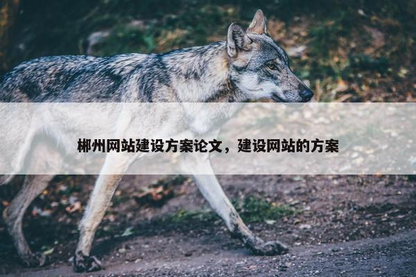 郴州网站建设方案论文，建设网站的方案