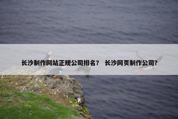 长沙制作网站正规公司排名？ 长沙网页制作公司？