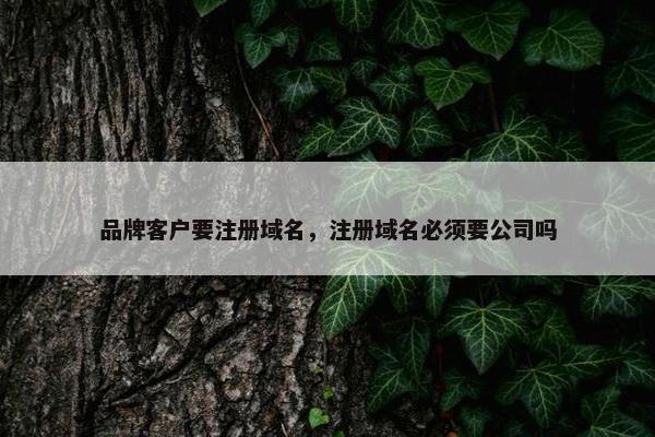 品牌客户要注册域名，注册域名必须要公司吗