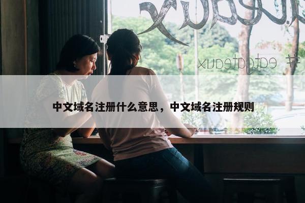 中文域名注册什么意思，中文域名注册规则
