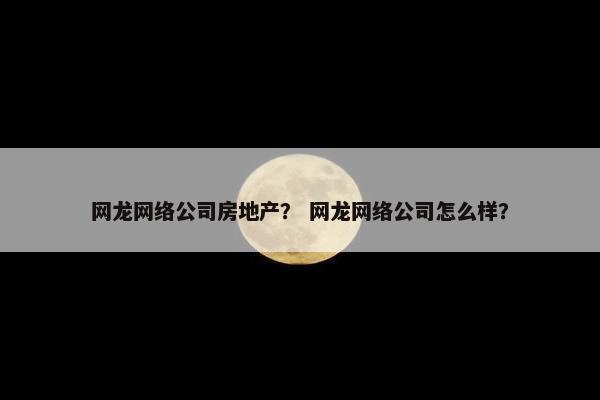 网龙网络公司房地产？ 网龙网络公司怎么样？