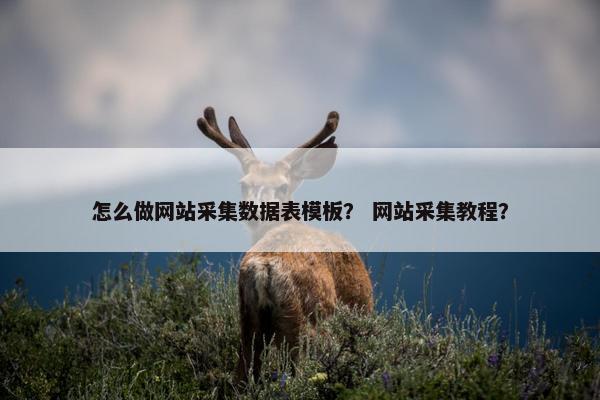怎么做网站采集数据表模板？ 网站采集教程？