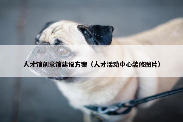 人才馆创意馆建设方案（人才活动中心装修图片）