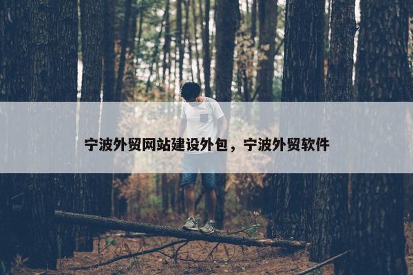 宁波外贸网站建设外包，宁波外贸软件
