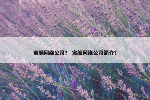 宸颜网络公司？ 宸颜网络公司简介？