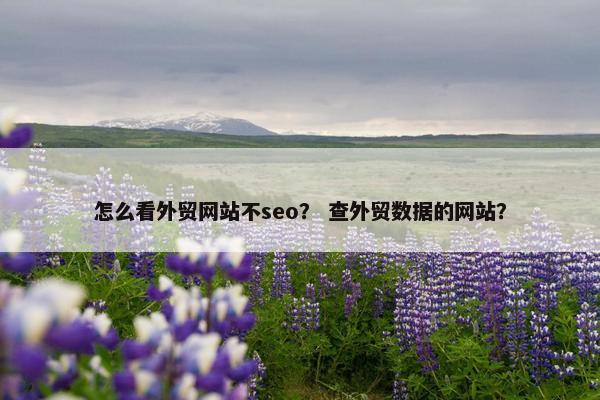 怎么看外贸网站不seo？ 查外贸数据的网站？