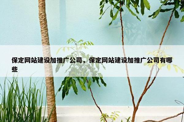 保定网站建设加推广公司，保定网站建设加推广公司有哪些