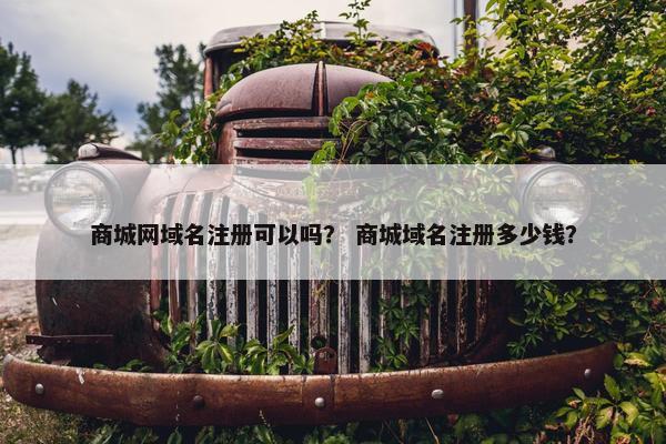 商城网域名注册可以吗？ 商城域名注册多少钱？