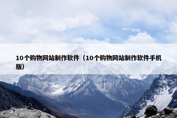 10个购物网站制作软件（10个购物网站制作软件手机版）