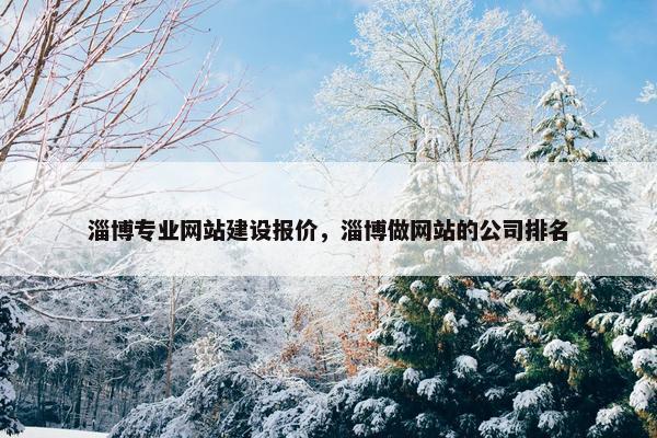 淄博专业网站建设报价，淄博做网站的公司排名