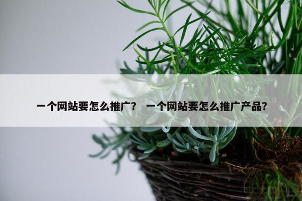 一个网站要怎么推广？ 一个网站要怎么推广产品？
