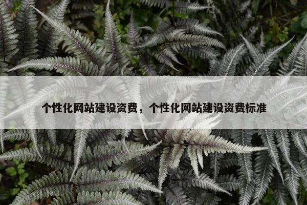个性化网站建设资费，个性化网站建设资费标准