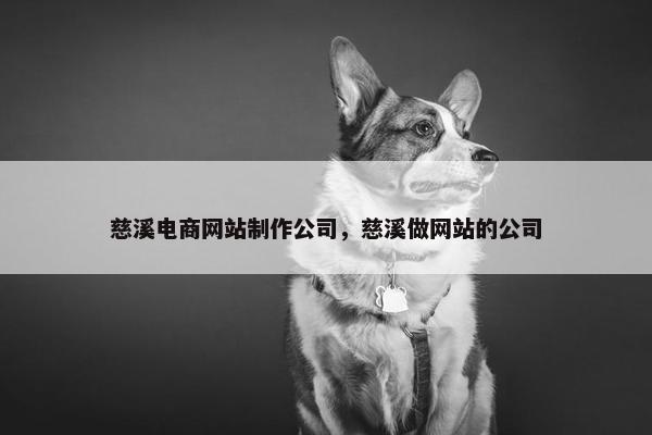 慈溪电商网站制作公司，慈溪做网站的公司