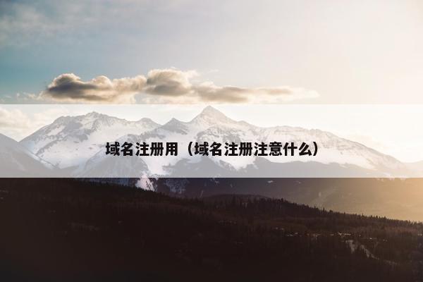 域名注册用（域名注册注意什么）